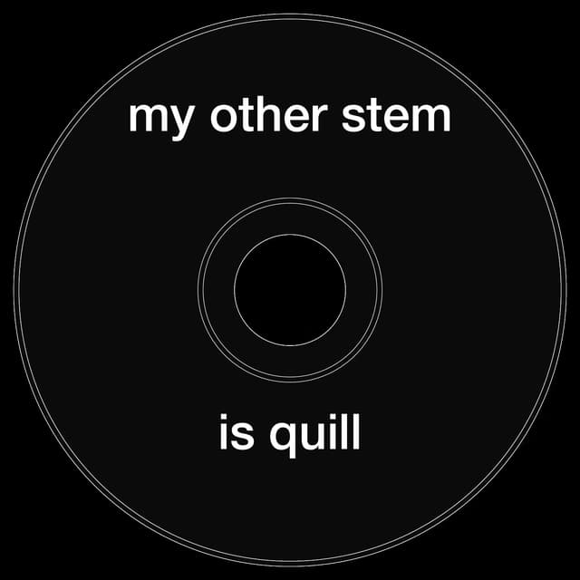 Топкэп "my other stem is quill"