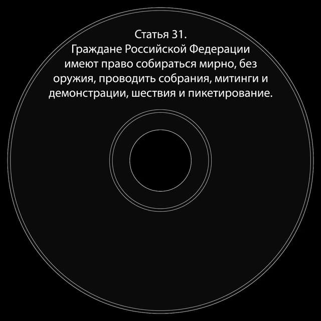 Топкэп "статья 31"